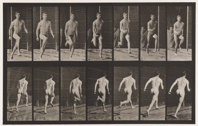 Plate 66. Kjører av Eadweard Muybridge