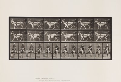 Plate 678. Geit; Trav, i Sulky av Eadweard Muybridge