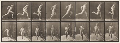 Plate 67. Running, 1872-1885 av Eadweard Muybridge