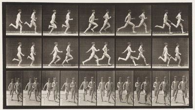 Plate 69. Kjører to modeller, 1872-1885 av Eadweard Muybridge