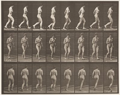 Plate 70. Running., 1872-1885 av Eadweard Muybridge