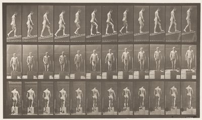 Plate 74. Stigende helling, vinkel 1 i 4 av Eadweard Muybridge