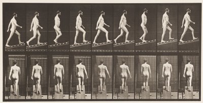 Plate 75. Stigende skråning, vinkel 1 i 4, 1872-1885 av Eadweard Muybridge