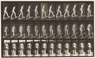 Plate 76. Stigende stigning av Eadweard Muybridge