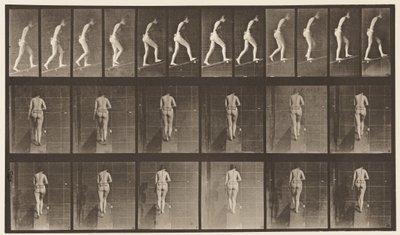 Plate 79. Stigende stigning av Eadweard Muybridge