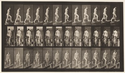 Plate 81. Stigende stigning. av Eadweard Muybridge