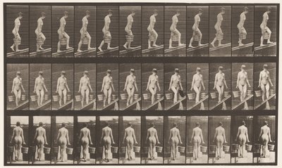 Plate 82. Stigende skråning, bøtte med vann i hver hånd av Eadweard Muybridge