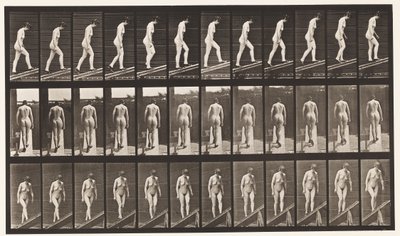 Plate 85. Stigende stigning av Eadweard Muybridge