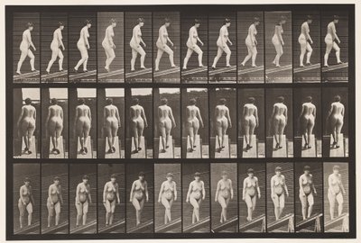 Plate 86. Stigende stigning av Eadweard Muybridge