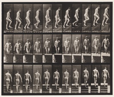 Plate 88. Oppstigende trapper, 1872-1885 av Eadweard Muybridge