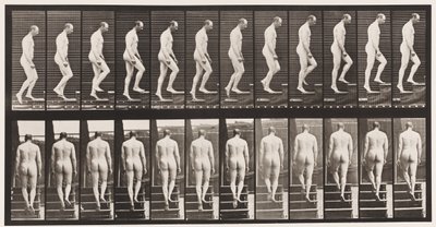 Plate 89. Oppgående trapp av Eadweard Muybridge