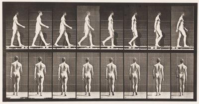 Plate 8. Gå av Eadweard Muybridge
