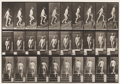 Plate 90. Oppgående trapp av Eadweard Muybridge