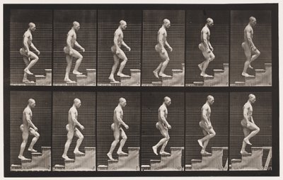 Plate 91. Oppgående trapp av Eadweard Muybridge