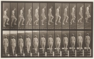 Plate 92. Oppgående trapp av Eadweard Muybridge