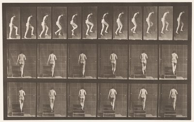 Plate 93. Oppgående trapp av Eadweard Muybridge