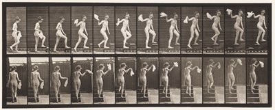 Plate 96. Oppstigende trapp ser seg rundt; Viftende lommetørkle av Eadweard Muybridge