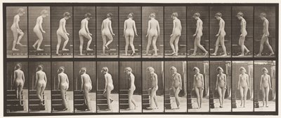 Plate 98. Svingende og oppgående trapper, 1872-1885 av Eadweard Muybridge