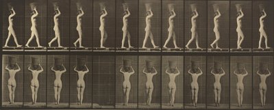  av Eadweard Muybridge