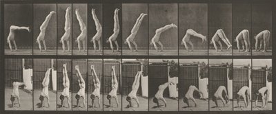  av Eadweard Muybridge