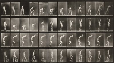 Tavle nummer 488. A: Gresstennis. B: Hantler. C: Gå på hendene. D: Gå opp trapper av Eadweard Muybridge
