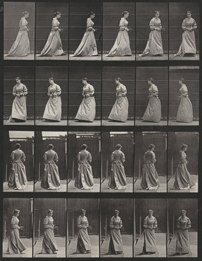Tavle nummer 48. Gå og snu seg rundt med en bukett i begge hender av Eadweard Muybridge