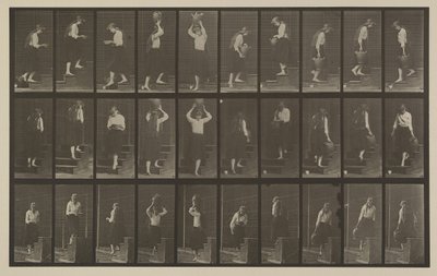 Plate nummer 504. Opp- og nedtrapper av Eadweard Muybridge