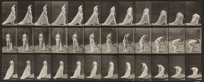 Tavle nummer 56. Gå, snu seg og bøye seg for å løfte slepet av Eadweard Muybridge