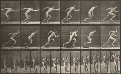  av Eadweard Muybridge