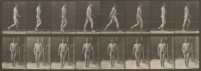  av Eadweard Muybridge