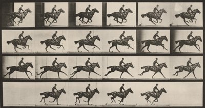 Plate nummer 625. «Bouquet» i galopp av Eadweard Muybridge