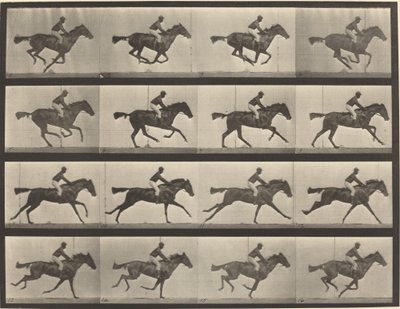 Platenummer 626. Galopp, fullblods bukthoppe, Annie G. av Eadweard Muybridge