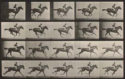 Plate nummer 627. «Annie G.» i galopp av Eadweard Muybridge