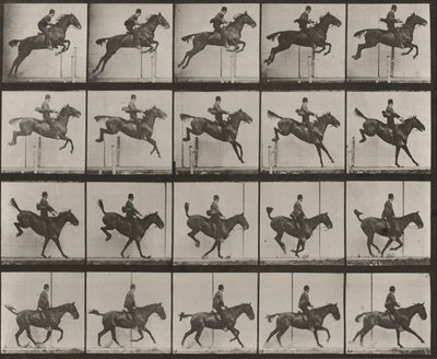 Tavle nummer 637. «Daisy» hopper over et hinder, sadlet, under passeringen, landingen og restitusjonen av Eadweard Muybridge