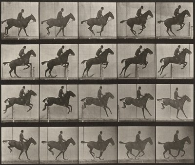 Plate nummer 639. «Daisy» hopper over en hindring, sadlet av Eadweard Muybridge
