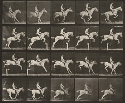 Plate nummer 642. «Pandora» hopper over en hindring, sadlet; rytter naken av Eadweard Muybridge