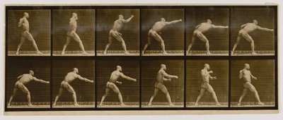  av Eadweard Muybridge
