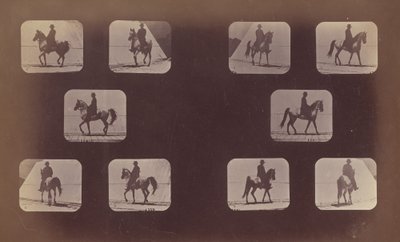Studier av forkortninger. Hester. Går. Mahomet. nr. 119-120 av Eadweard Muybridge