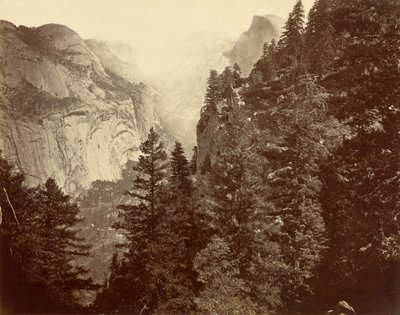 Tenaya Canyon fra Union Point, Valley of the Yosemite av Eadweard Muybridge