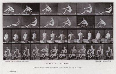 Den menneskelige figuren i bevegelse: idrettsutøver, roing (s/hvitt-bilde) av Eadweard Muybridge
