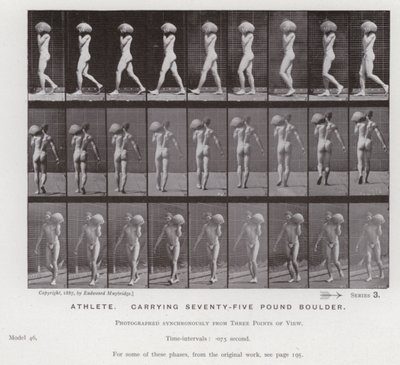 Den menneskelige figuren i bevegelse: idrettsutøver som bærer en steinblokk på 75 pund (s/hvitt-bilde) av Eadweard Muybridge