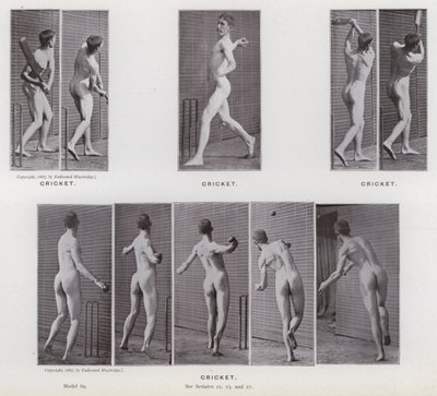 The Human Figure in Motion: Cricket (s/hvitt-bilde) av Eadweard Muybridge
