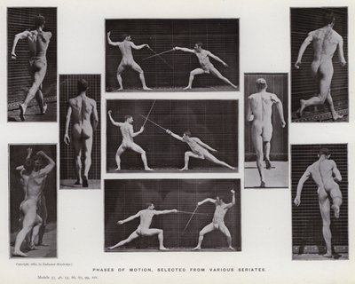 The Human Figure in Motion: Bevegelsesfaser, valgt fra forskjellige serier (s/hvitt-bilde) av Eadweard Muybridge