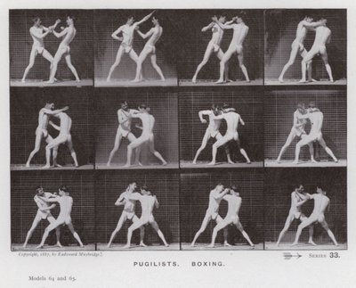 The Human Figure in Motion: Pugilists, Boxing (s/hv-bilde) av Eadweard Muybridge