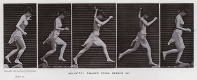 The Human Figure in Motion: Utvalgte faser fra serie 54 (s/hvitt-bilde) av Eadweard Muybridge