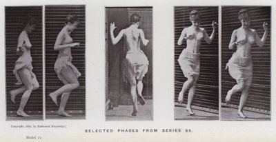 The Human Figure in Motion: Utvalgte faser fra serie 55 (s/hvitt-bilde) av Eadweard Muybridge