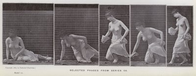 The Human Figure in Motion: Utvalgte faser fra serie 56 (s/hvitt-bilde) av Eadweard Muybridge