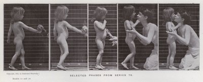 The Human Figure in Motion: Utvalgte faser fra serie 79 (s/hvitt-bilde) av Eadweard Muybridge