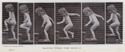 The Human Figure in Motion: Utvalgte faser fra serie 87 (s/hvitt-bilde) av Eadweard Muybridge