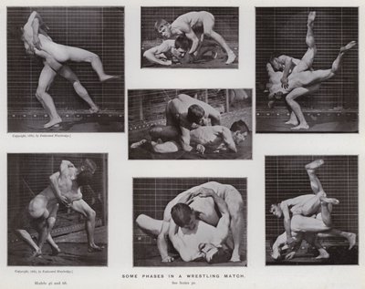 The Human Figure in Motion: Noen faser i en brytekamp (s/hvitt-bilde) av Eadweard Muybridge
